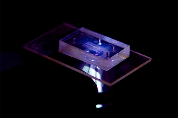 3033574-slide-gut-on-a-chip-microscope