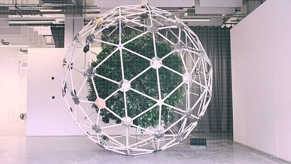 538392764_1280x720-600x338