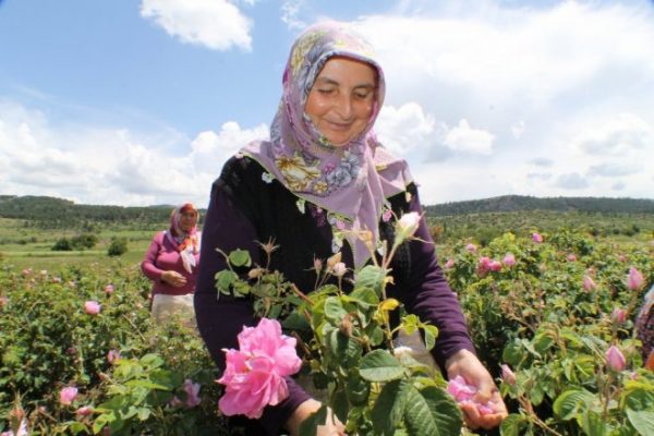 8. Ekmek, gül ve hürriyet günleri…