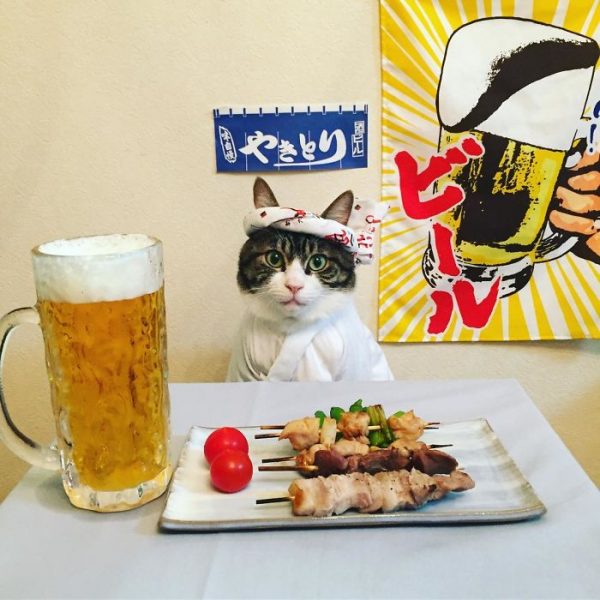 dining-with-dressed-cat-maro-japan-11-58f46ad429aeb__700