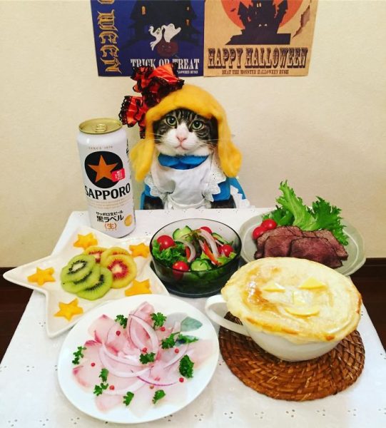 dining-with-dressed-cat-maro-japan-24-58f46aed6e0b5__700