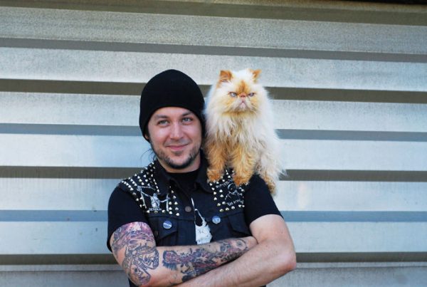 metal-animals-19-58f9b9078628c__700