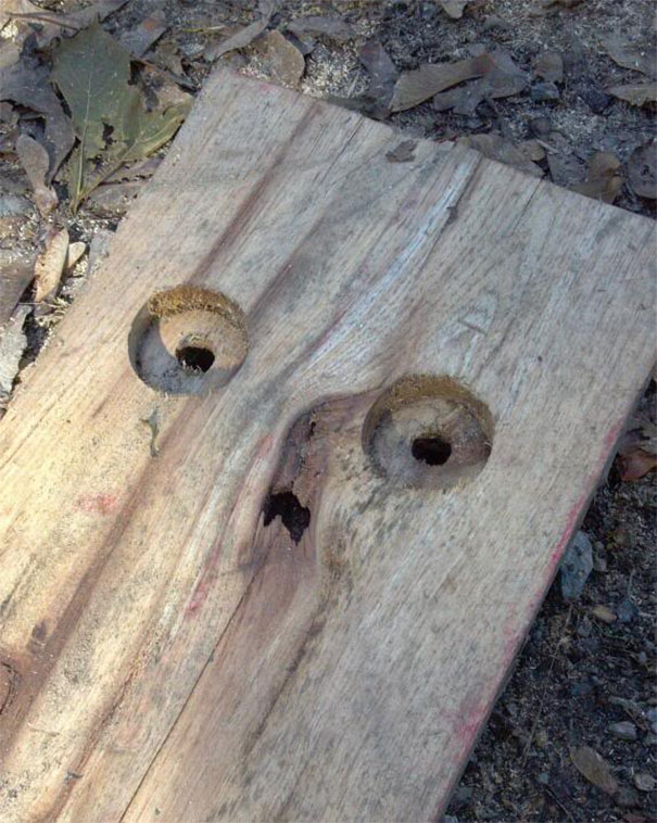 pareidolia-faces-everyday-objects-4-58f47518c0235__605