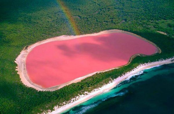 24-lake-hillier-pink-lake-in-australia-4-min