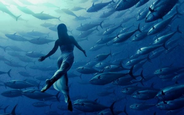9-A-Japanese-synchronized-swimmer-puts-herself-in-a-shoal-of-fish-e1494344404154