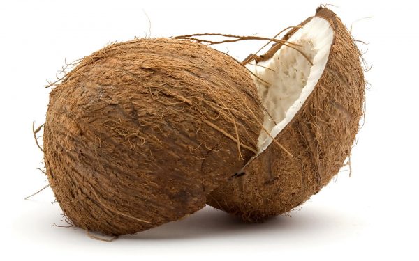 Coconut (1)