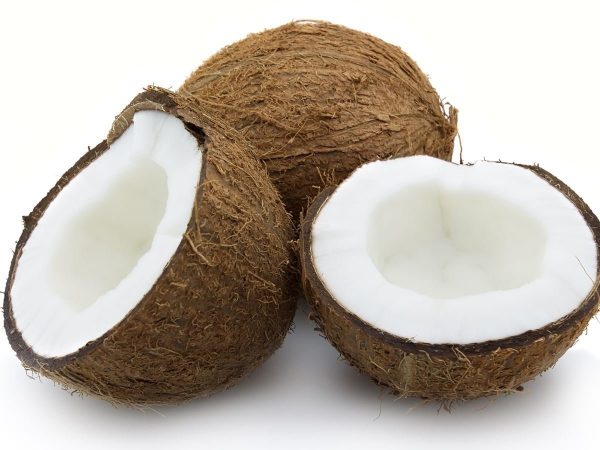 Coconut2