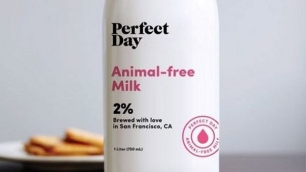 Perfect+Day+milk