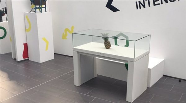 ananasi-sanat-eseri-sanip-sergilediler-284067-5