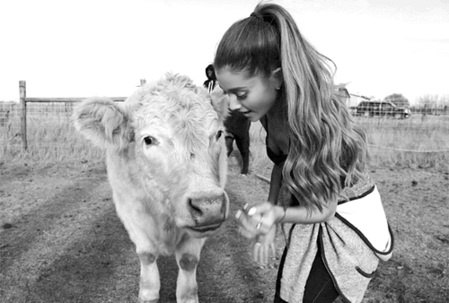 ariana_grande