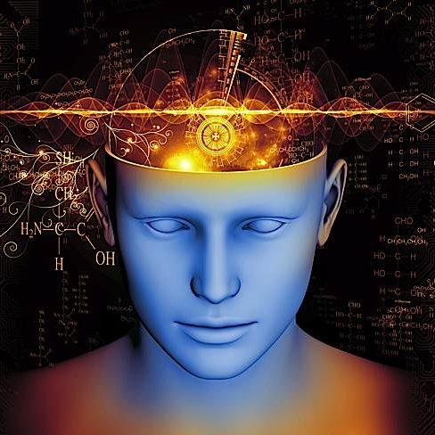 brain-echart