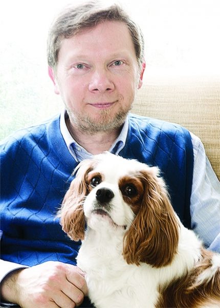 echart-tolle-dog