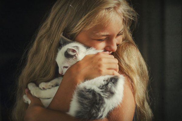 kedi_kucaklayici (1)