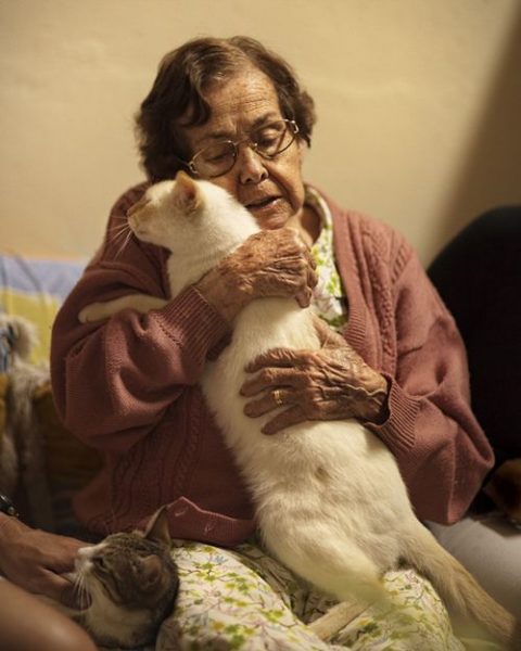 kedi_kucaklayici (10)
