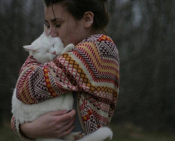 kedi_kucaklayici (4)