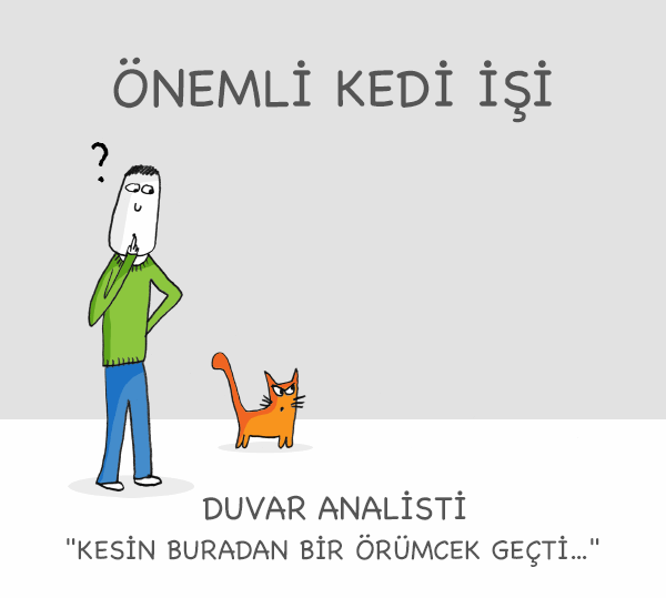 kedi_meslek (11)
