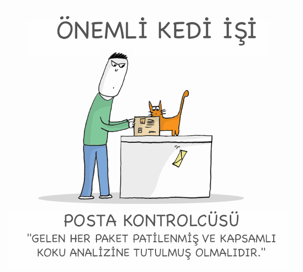 kedi_meslek (5)