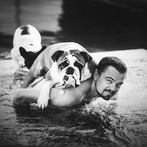 leonardo_di_caprio