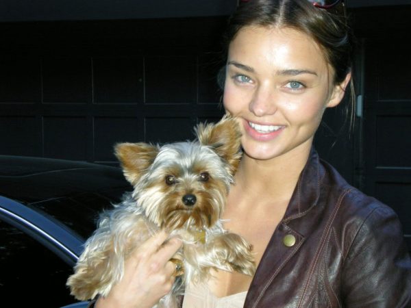 miranda-kerr-pets