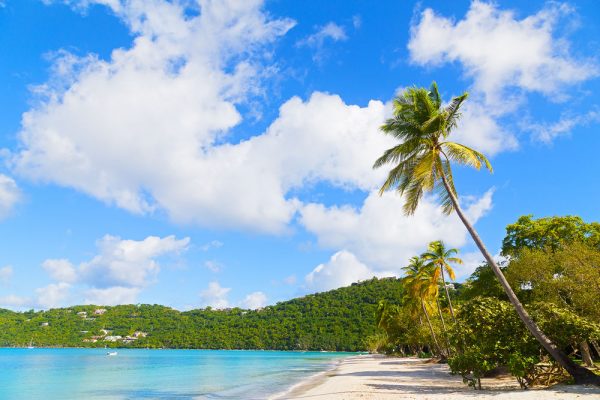 shutterstock_241327156