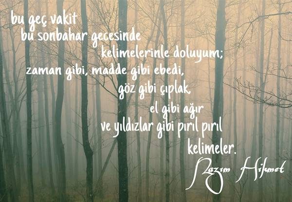memleketim-memleketim-mem