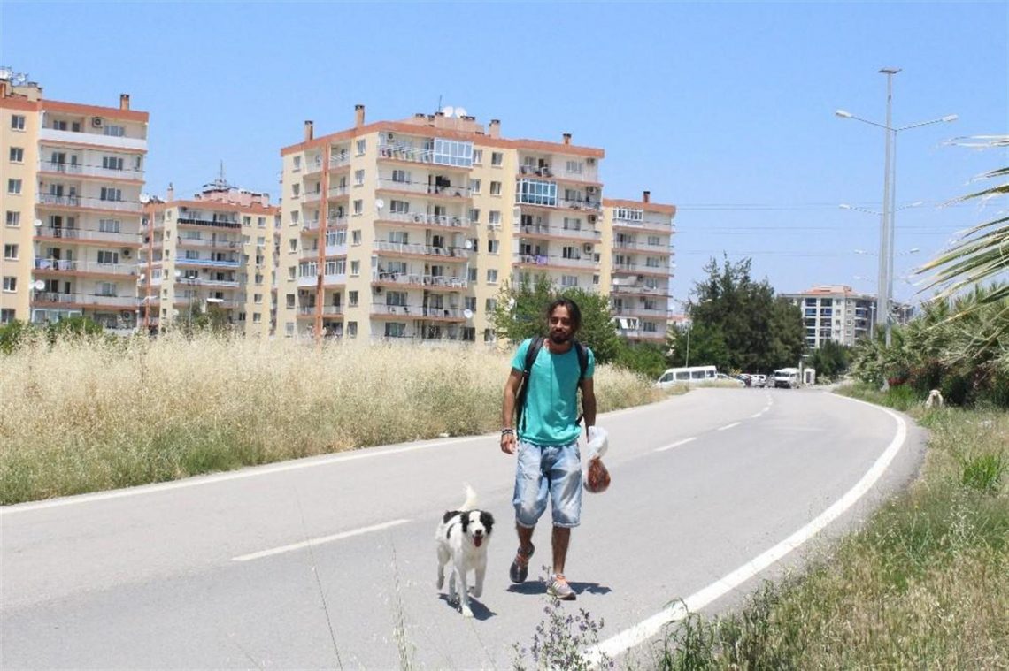 sokak köpeklerin çok havlaması neye işarettir