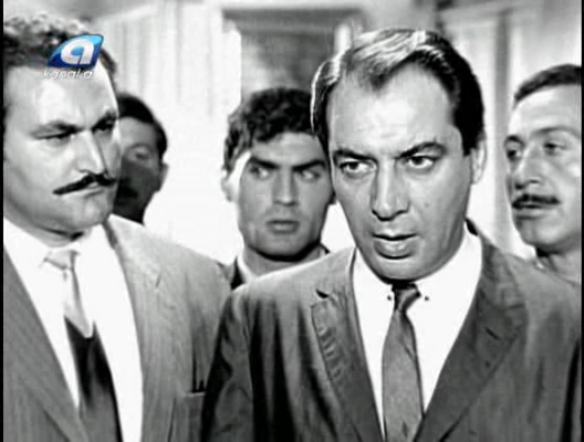 saadettin-erbil-802