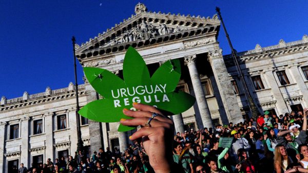 1-uruguaycannabis