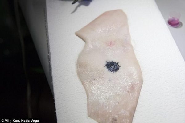 41424E1000000578-0-Researchers_have_developed_a_tattoo_ink_that_reacts_to_sugar_in_-a-9_1496996678315