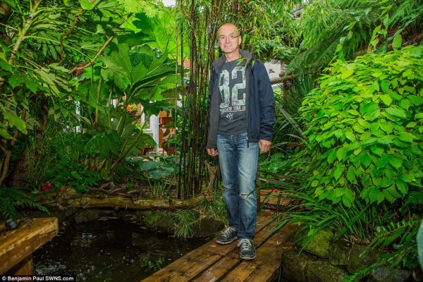 4237E12200000578-4686364-The_jungle_plant_that_kicked_off_Nick_s_project_was_a_Gunnera_Ma