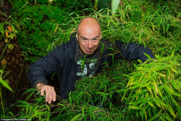 4237E45900000578-4686364-Nick_Wilson_61_was_inspired_to_transform_his_garden_in_Leeds_aft