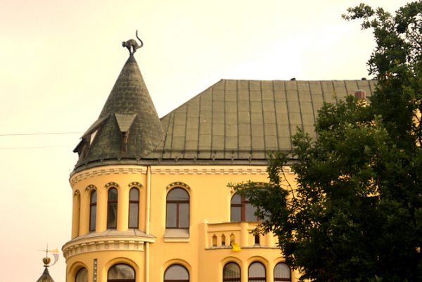 7-cat-house-riga