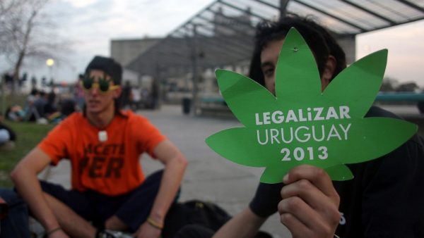 9-uruguay-marijuana