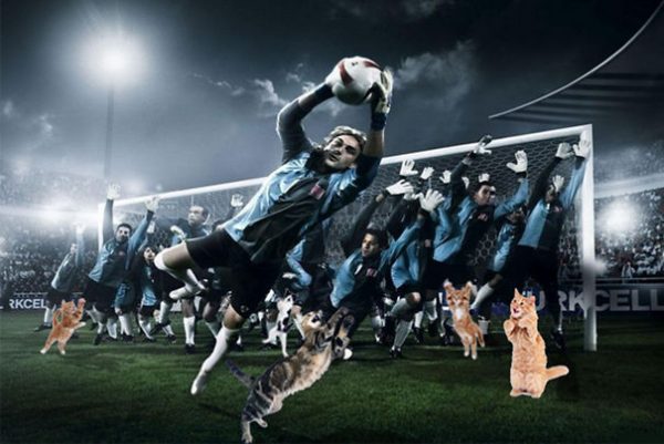 kedi_photoshop (20)