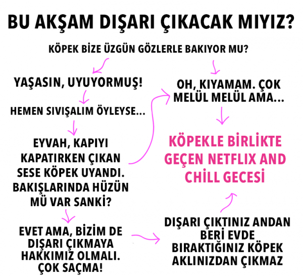 kopek_insani (7)