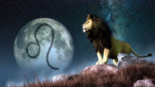 lionsymbol-1--579265345f9b58cdf300cca1