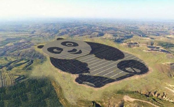 panda_yesil_enerji (3)