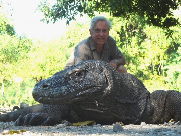 32-KOMODO