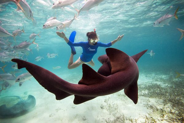 9-Ambergris Caye