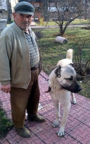 KANGAL (1)