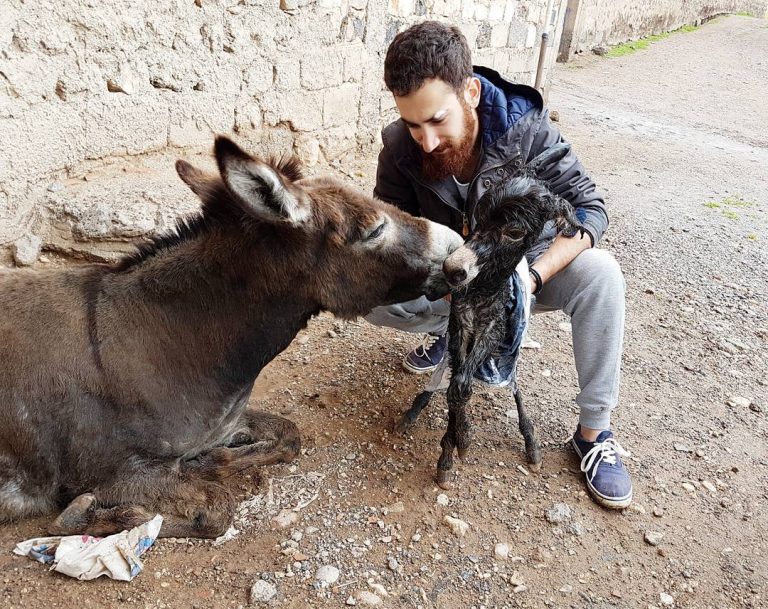 Türkiye�deki Tüm Felçli Hayvanlara Protez Yapma Hayali Kuran Mardinli