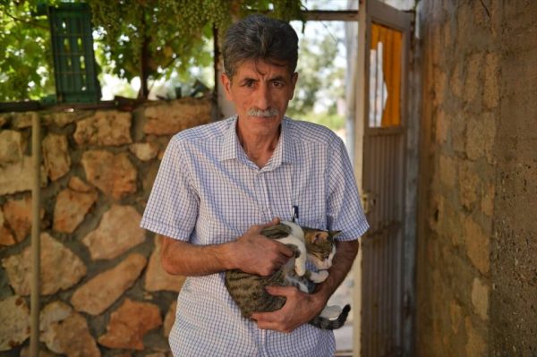 muhtar_kedi (5)