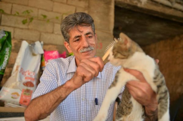 muhtar_kedi (7)