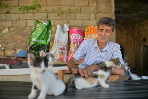 muhtar_kedi (9)