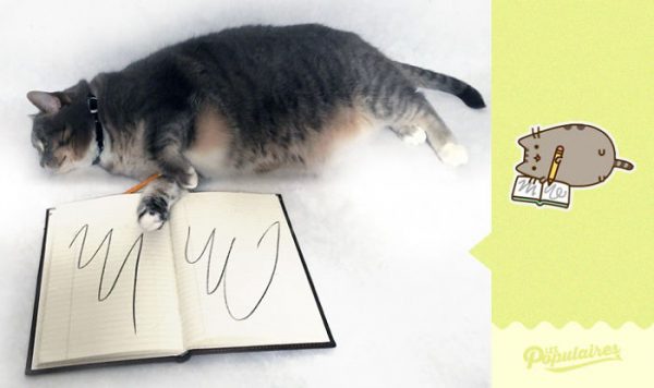 pusheen_kedi (10)