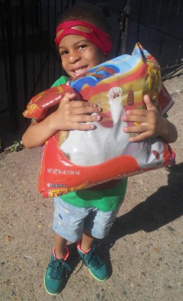 shon (6)