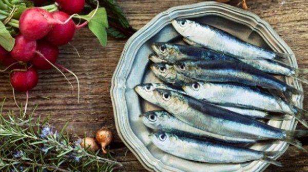 625-sardines_625x350_61447243655