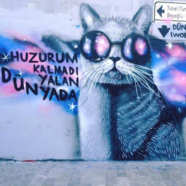 kedili_duvar_yazisi (10)