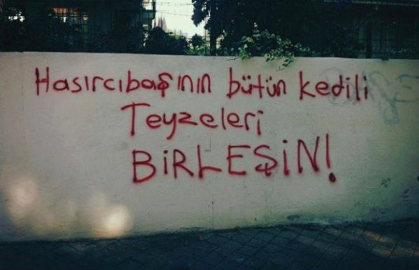 kedili_duvar_yazisi (11)