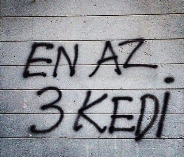 kedili_duvar_yazisi (8)